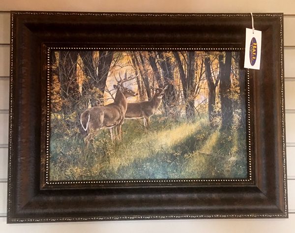 Wildlife-Deer-Painting