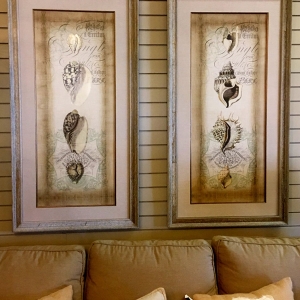 Seashell-Diptych